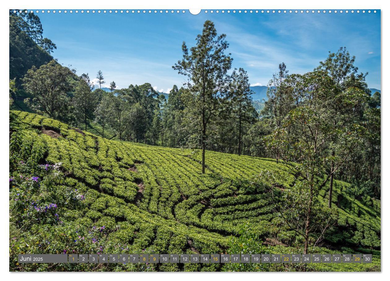 Bild: 9783383963674 | Sri Lanka - landschaftliche Vielfalt (Wandkalender 2025 DIN A2...