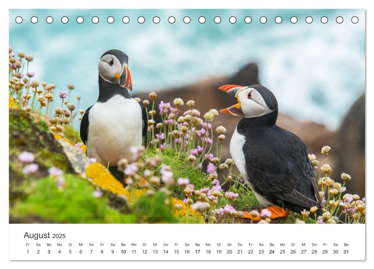 Bild: 9783435071944 | Abenteuerinsel Irland (Tischkalender 2025 DIN A5 quer), CALVENDO...