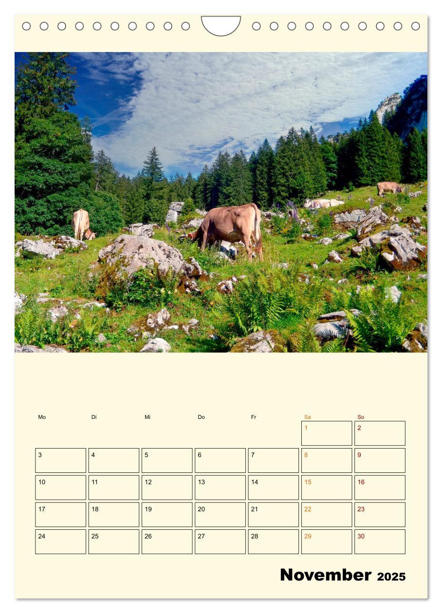 Bild: 9783435904358 | Glückliche Bergkühe (Wandkalender 2025 DIN A4 hoch), CALVENDO...