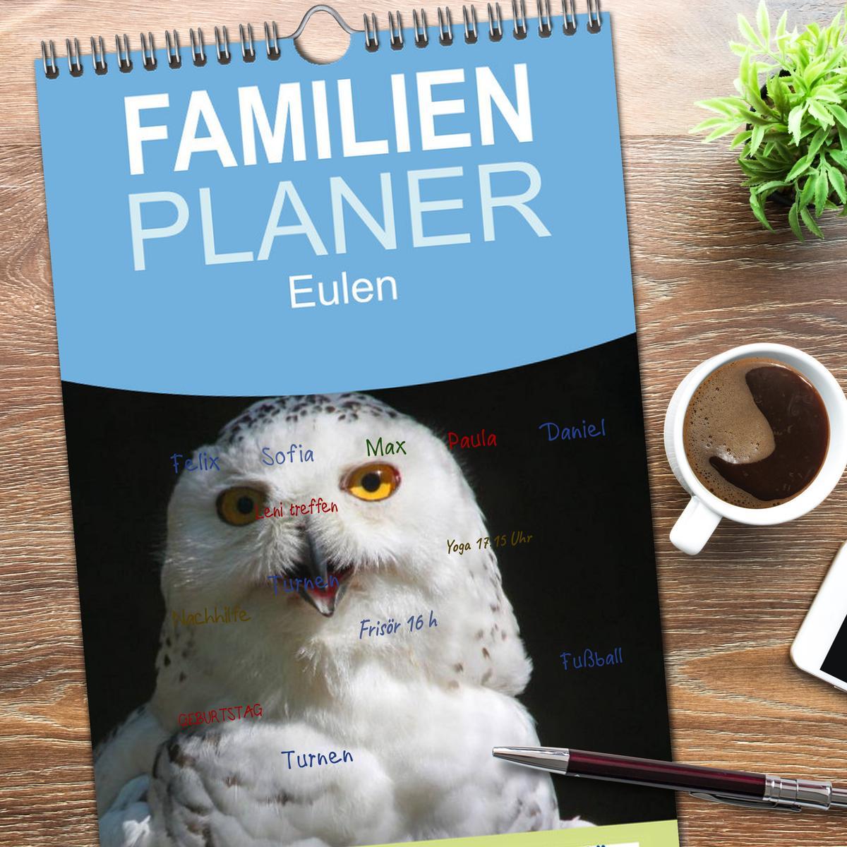 Bild: 9783457119211 | Familienplaner 2025 - Eulen mit 5 Spalten (Wandkalender, 21 x 45...