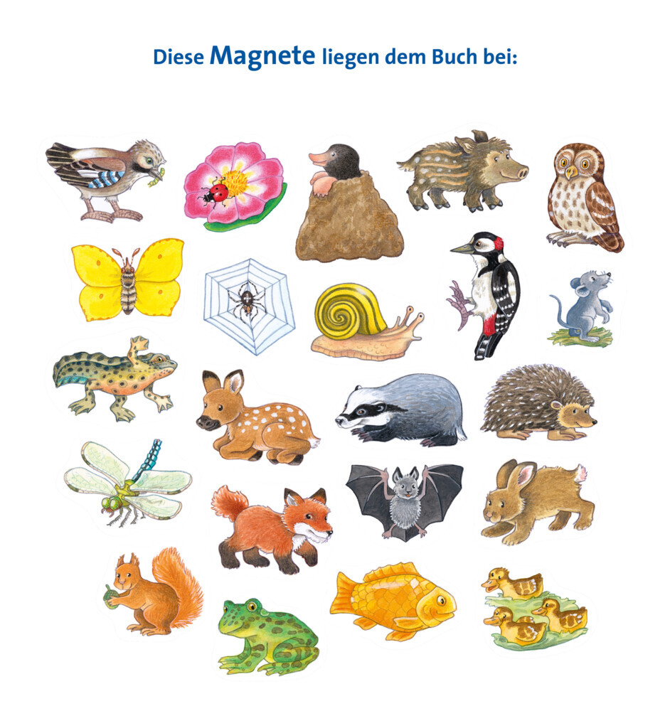 Bild: 9783473421503 | Mein großes Magnetbuch: Wer wohnt wo? - Magnet-Spielbuch ab 2...