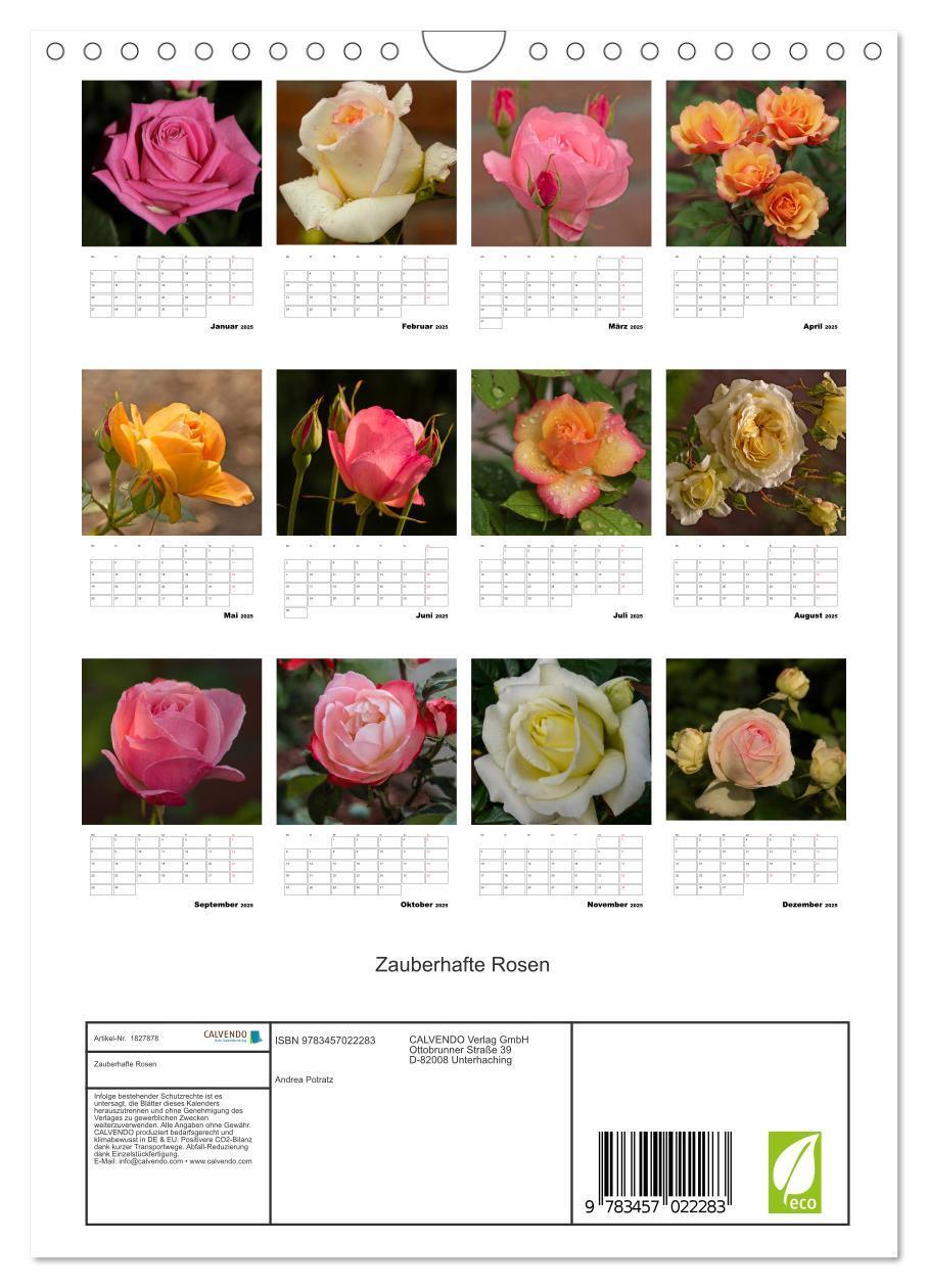 Bild: 9783457022283 | Zauberhafte Rosen (Wandkalender 2025 DIN A4 hoch), CALVENDO...