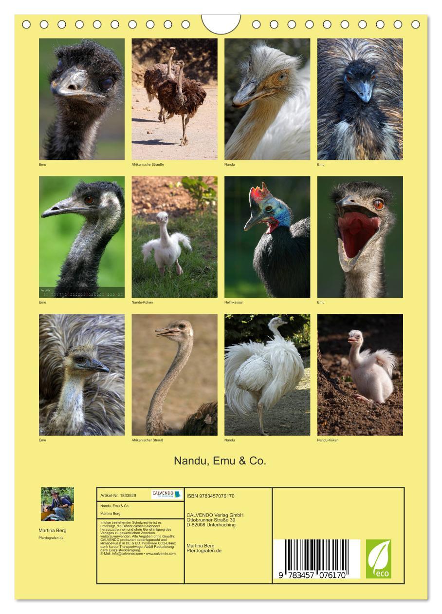 Bild: 9783457076170 | Nandu, Emu &amp; Co. (Wandkalender 2025 DIN A4 hoch), CALVENDO...