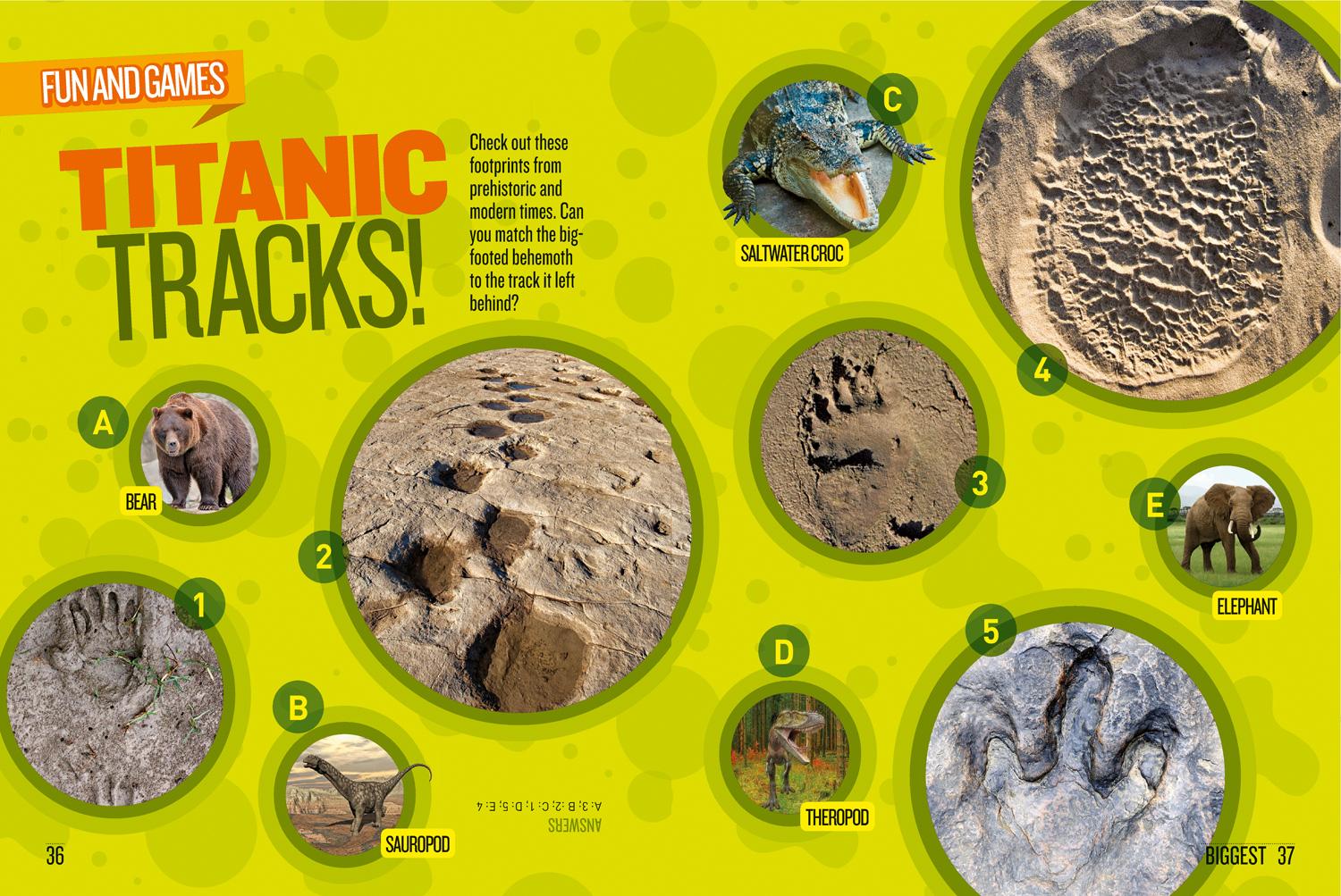 Bild: 9781426327940 | Dino Records | National Geographic Kids | Taschenbuch | Englisch