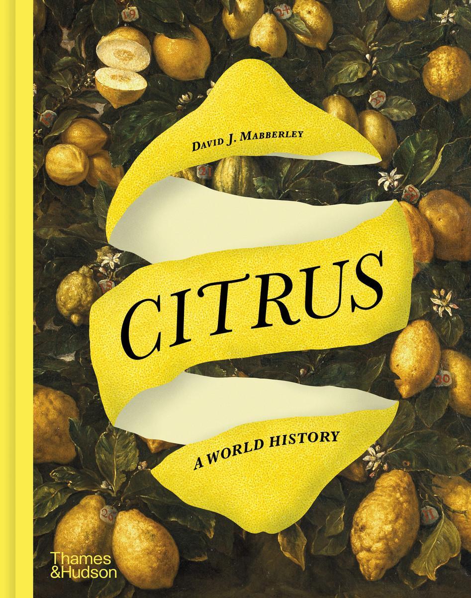 Cover: 9780500026366 | Citrus | A World History | David J Mabberley | Buch | Englisch | 2024