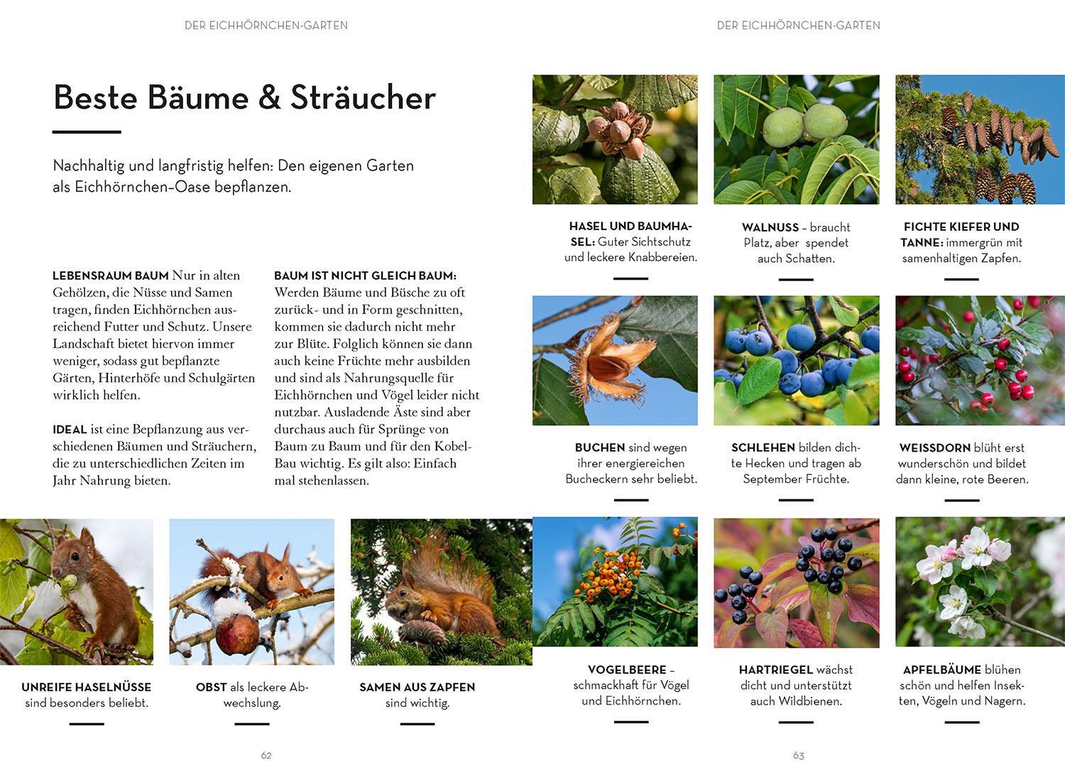 Bild: 9783440174630 | Mach was für Eichhörnchen | Frederike Hecker | Taschenbuch | 96 S.