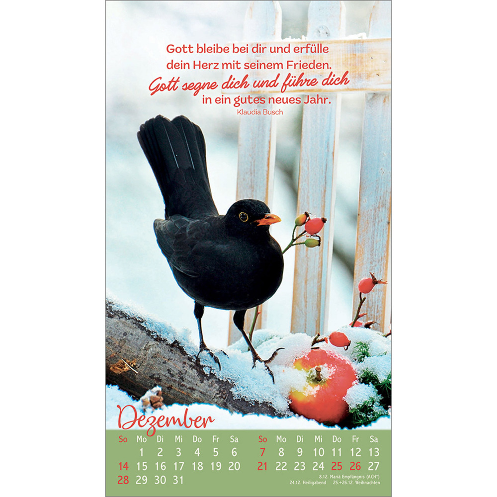 Bild: 9783754879757 | Beflügelt und geborgen | Vögel 2025 | Kalender | 13 S. | Deutsch