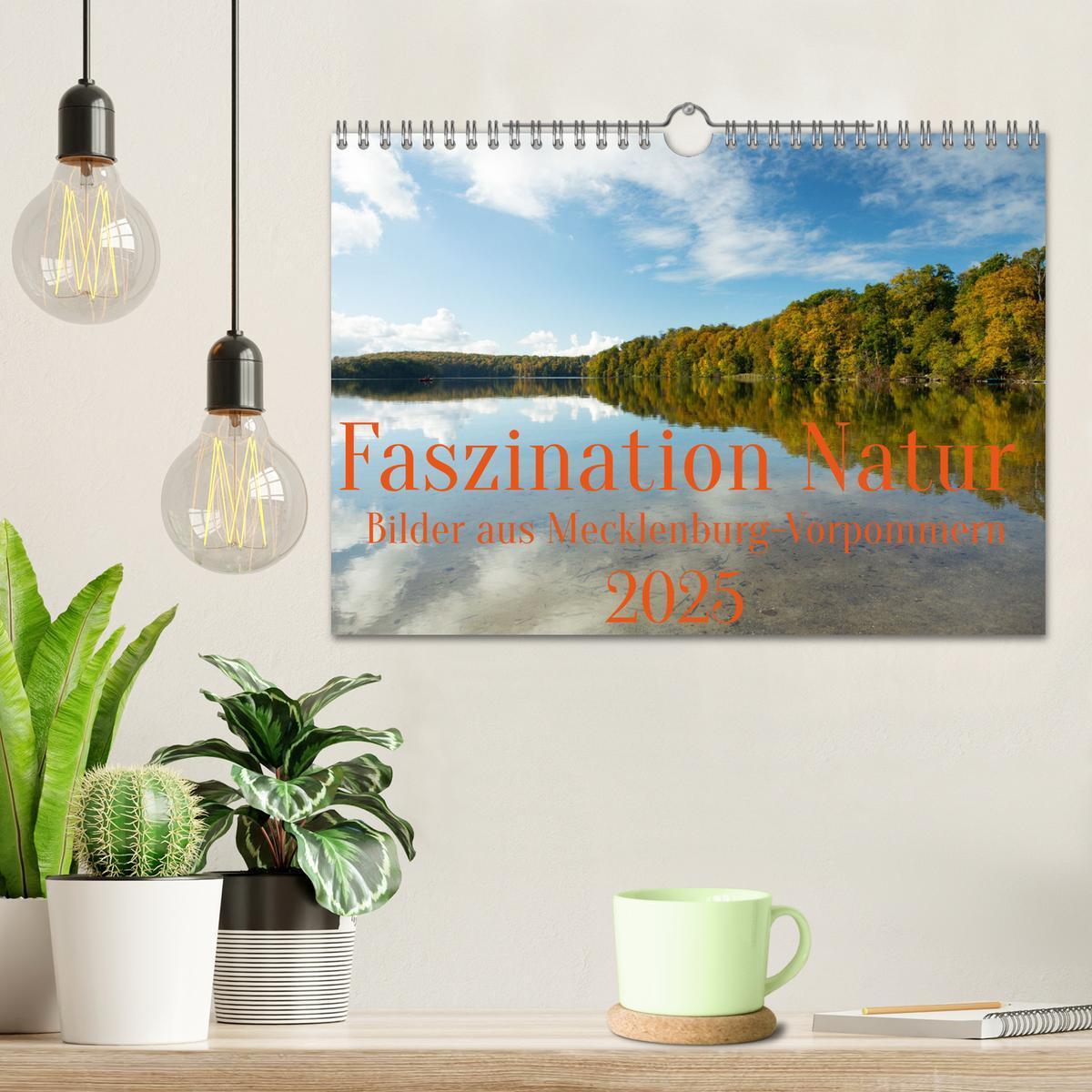 Bild: 9783435057962 | Faszination Natur - Bilder aus Mecklenburg-Vorpommern (Wandkalender...