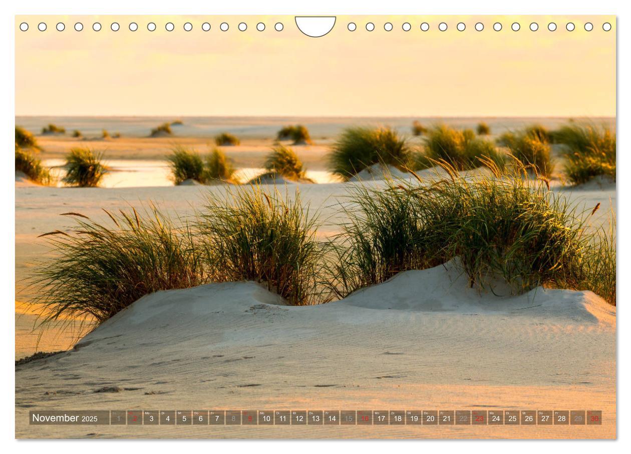 Bild: 9783435271870 | Amrum Insel am Wattenmeer (Wandkalender 2025 DIN A4 quer), CALVENDO...