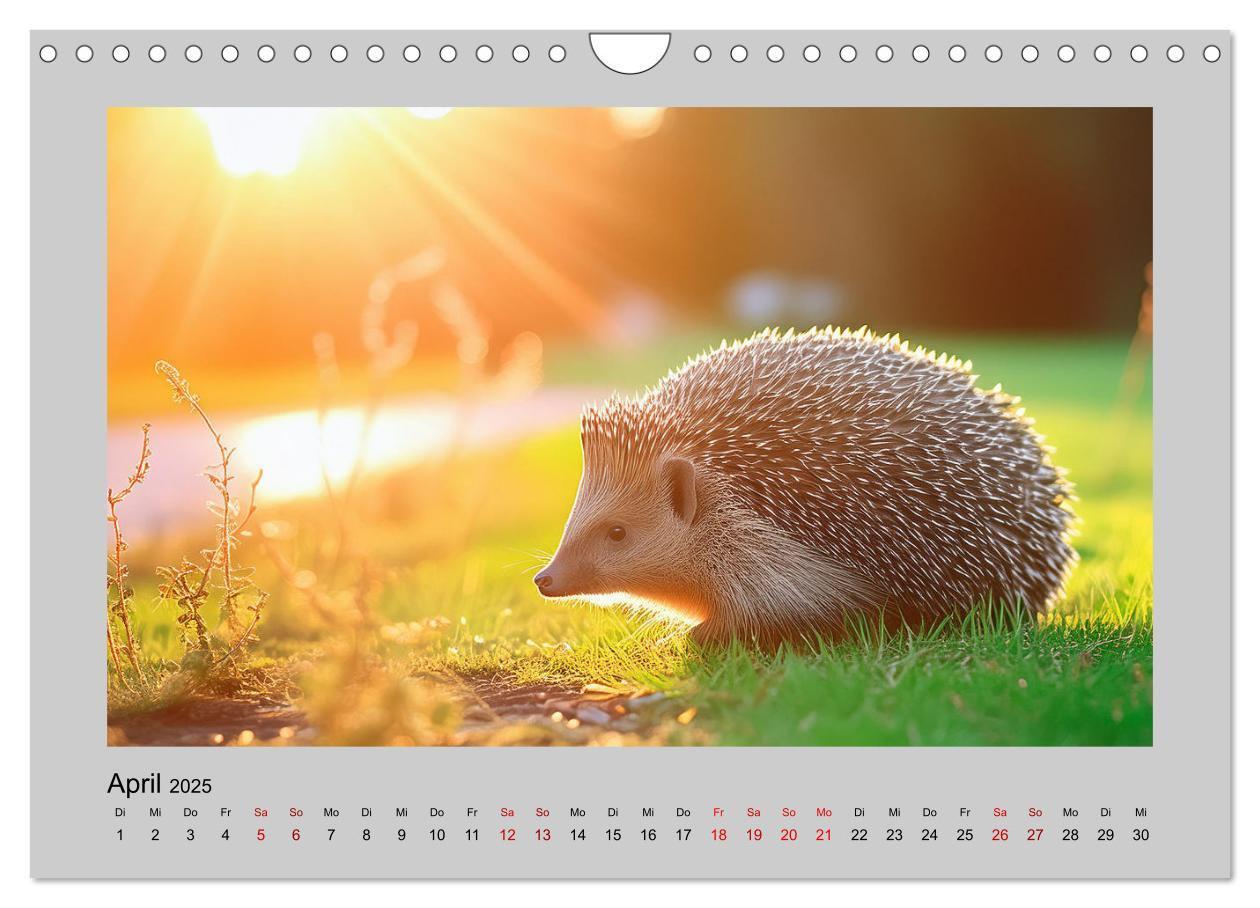 Bild: 9783435504527 | Mein Igel-Kalender (Wandkalender 2025 DIN A4 quer), CALVENDO...