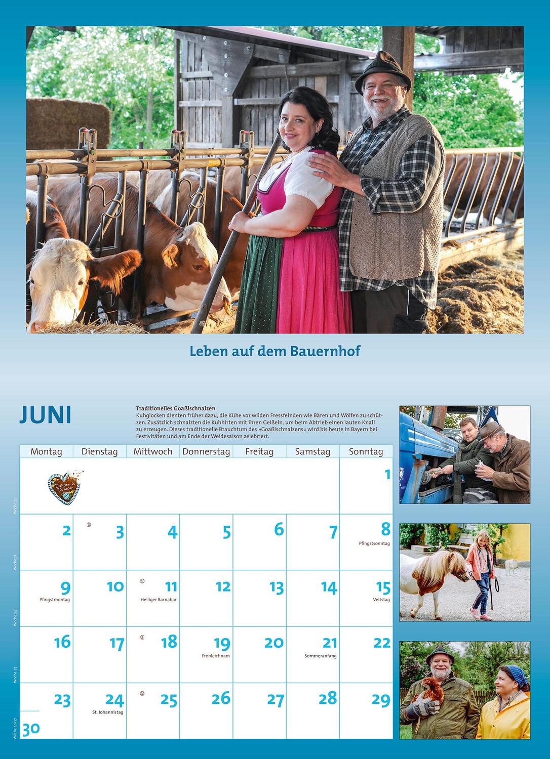 Bild: 4250809654287 | Dahoam is Dahoam 2025 - Broschürenkalender - Wandkalender - mit...