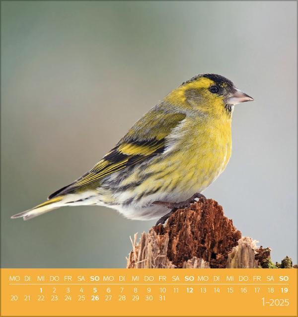 Bild: 9783731876755 | Vögel unserer Heimat 2025 | Verlag Korsch | Kalender | 13 S. | Deutsch