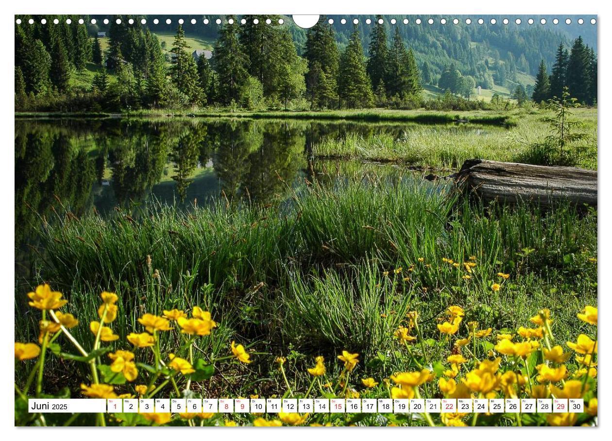 Bild: 9783435482498 | Geliebte Steiermark im Herzen Österreichs (Wandkalender 2025 DIN A3...