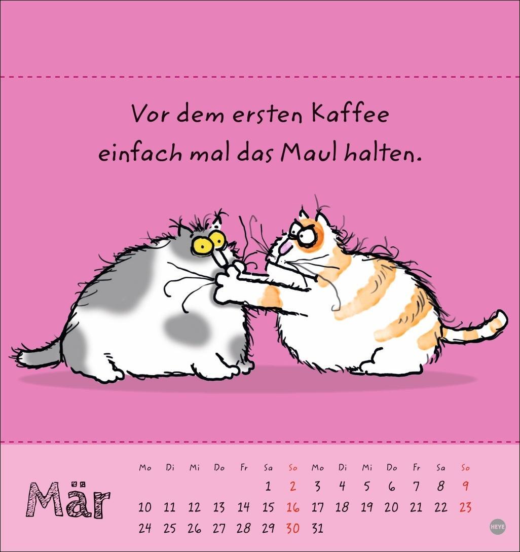 Bild: 9783756406951 | Catzz Postkartenkalender 2025 | Kalender | Postkartenkalender Heye