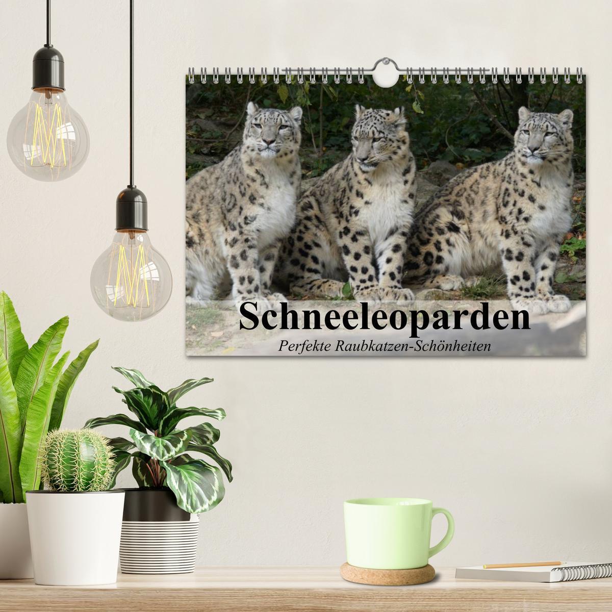 Bild: 9783435521241 | Schneeleoparden. Perfekte Raubkatzen-Schönheiten (Wandkalender 2025...