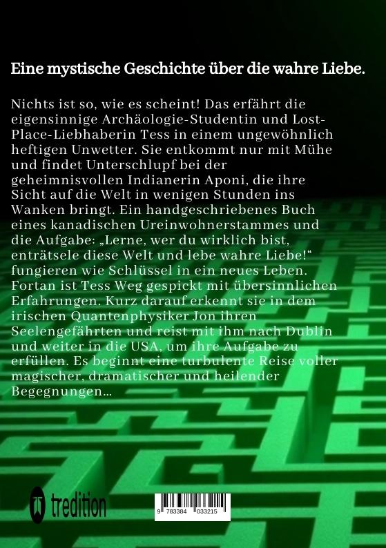 Rückseite: 9783384033215 | Das Labyrinth aus Sternenstaub und Träumen | Gaby Mrosek | Taschenbuch