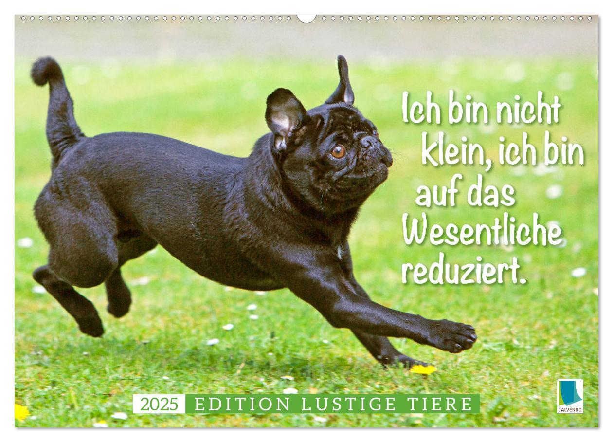 Cover: 9783435070466 | Der Mops: Nicht klein, sondern aufs Wesentliche reduziert. Edition...