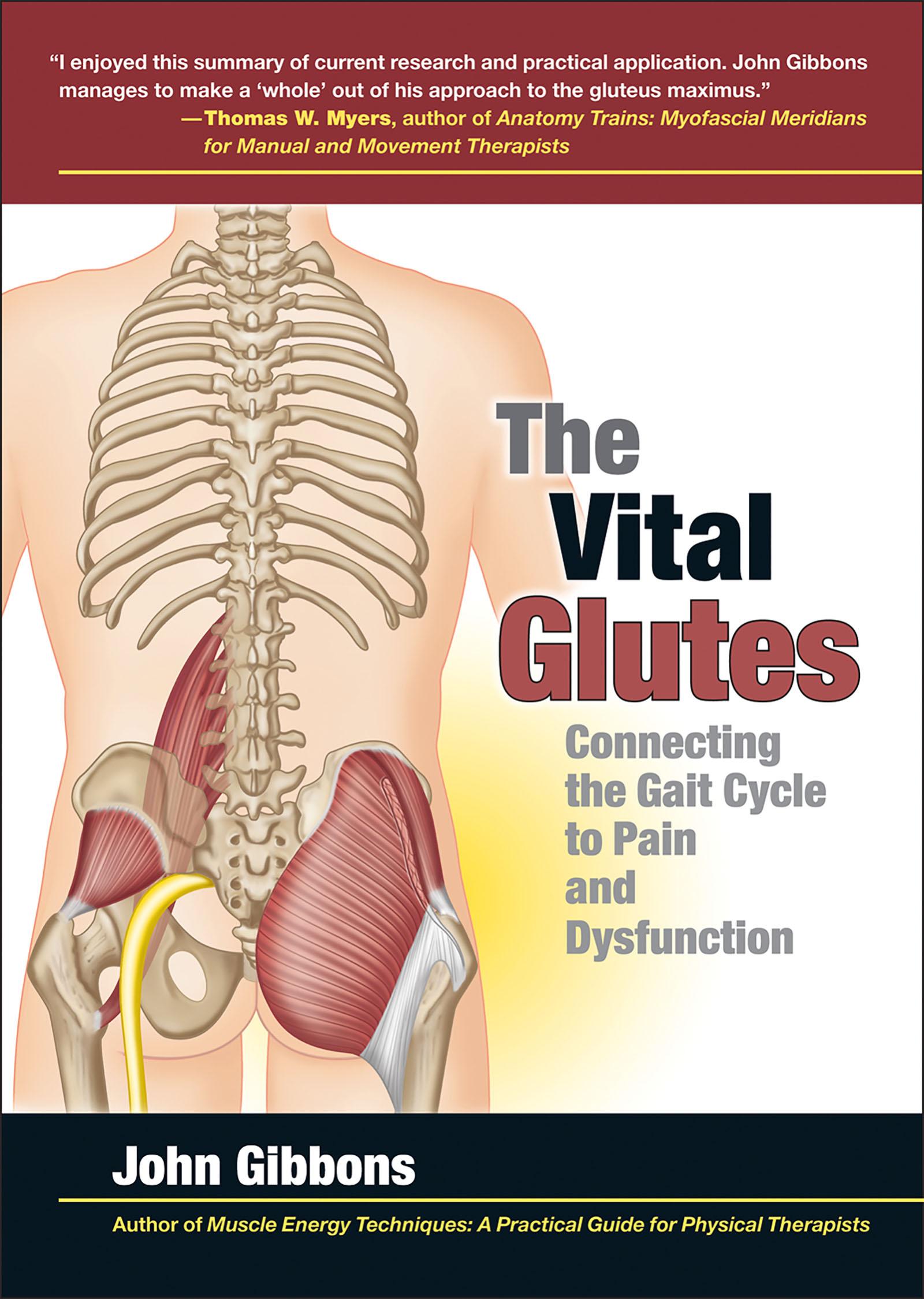 Cover: 9781905367498 | The Vital Glutes | Connecting the Gait Cycle to Pain and Dysfunction