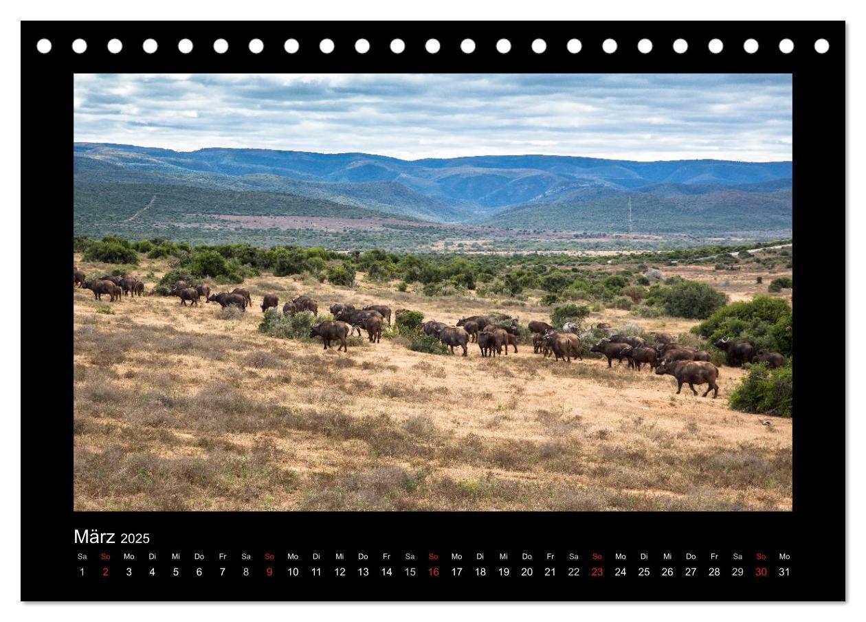 Bild: 9783435713264 | Südafrika - Garden Route (Tischkalender 2025 DIN A5 quer), CALVENDO...