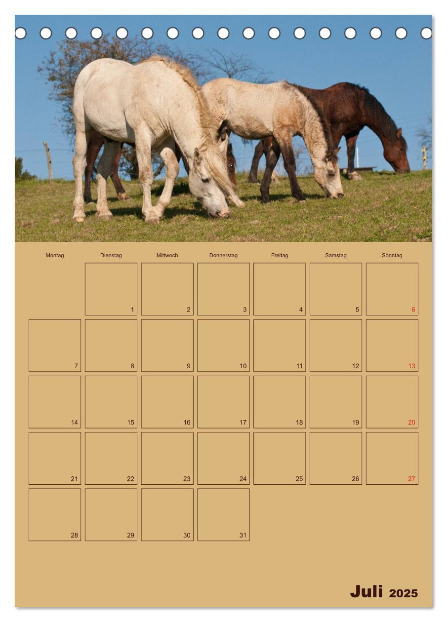 Bild: 9783457030592 | Pferde Gute Freunde (Tischkalender 2025 DIN A5 hoch), CALVENDO...