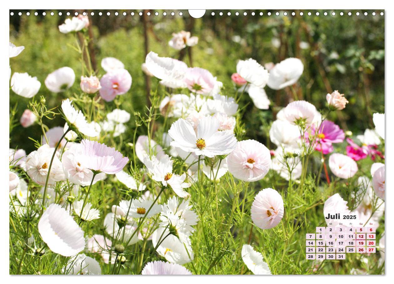 Bild: 9783383989124 | Urlaub im Garten (Wandkalender 2025 DIN A3 quer), CALVENDO...