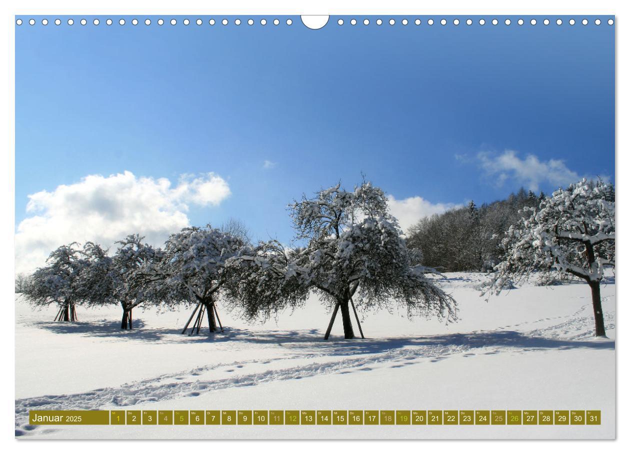 Bild: 9783435062485 | Apfelbaum und Streuobstwiesen (Wandkalender 2025 DIN A3 quer),...