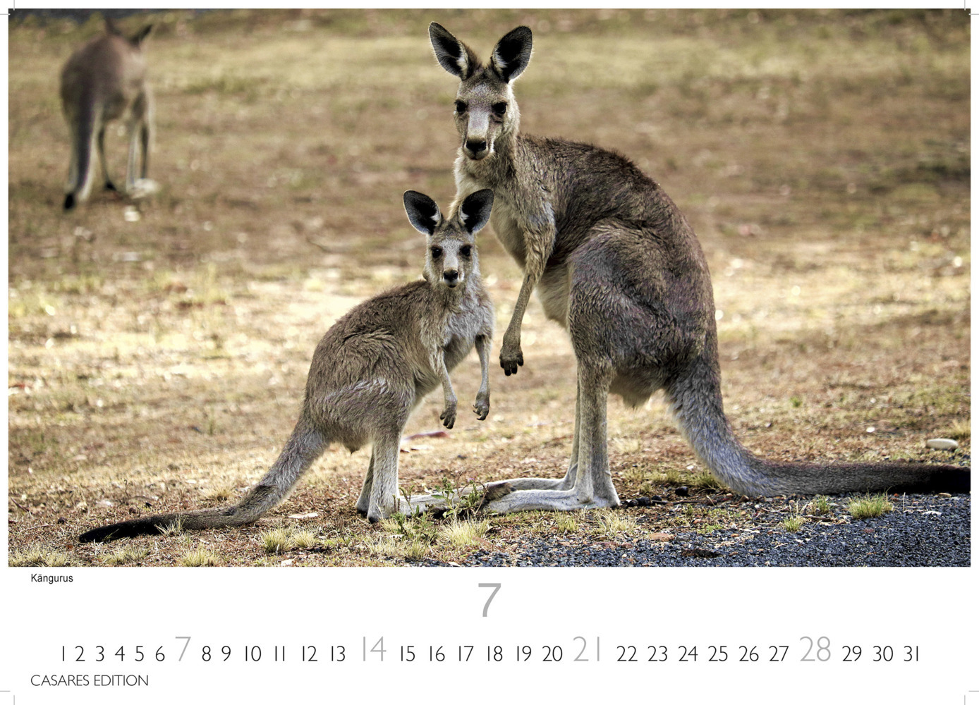 Bild: 9789918620999 | Australien 2024 S 24x35cm | Kalender | Deutsch | 2024