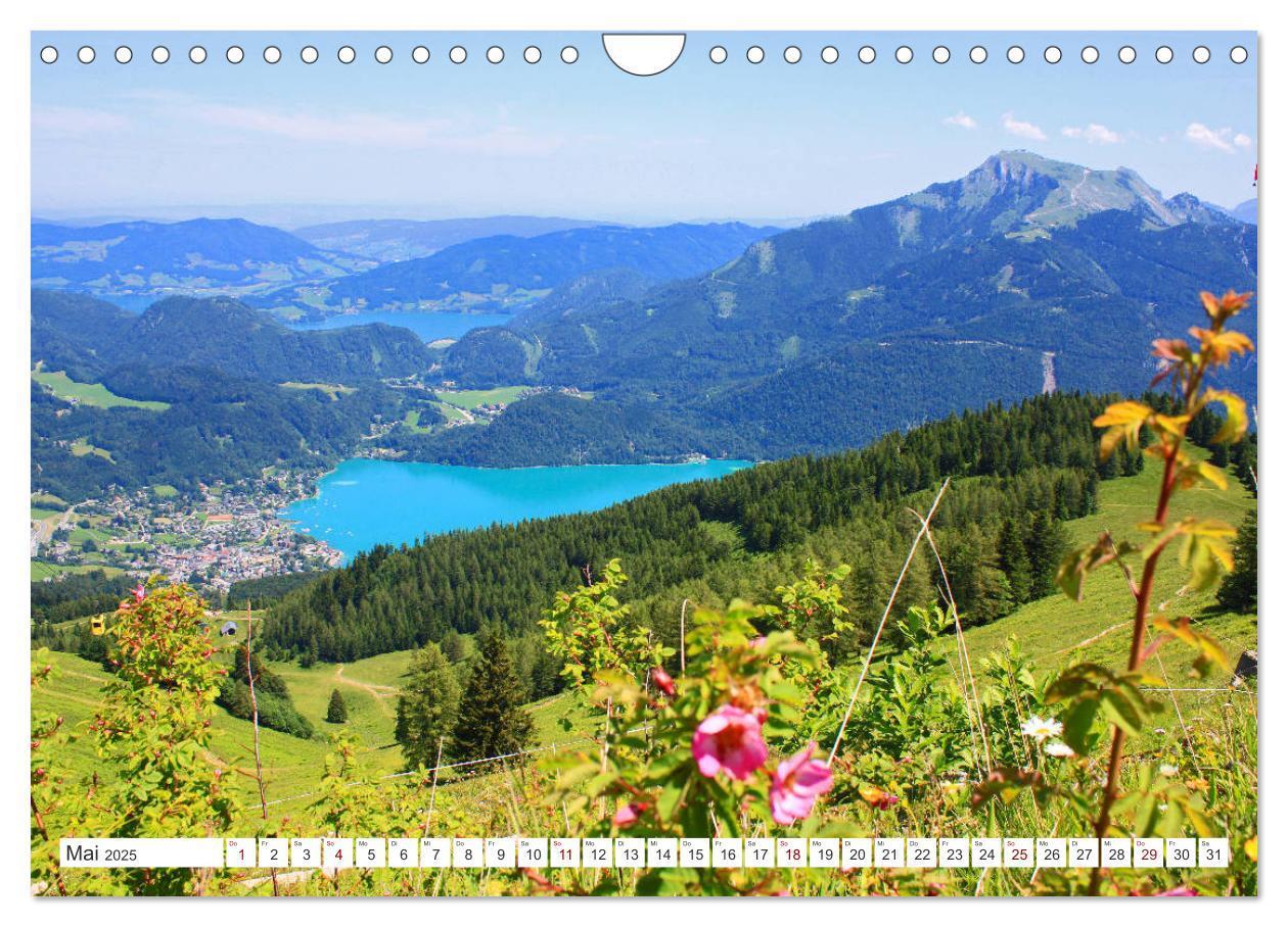 Bild: 9783435386550 | Der schöne Wolfgangsee im Salzkammergut (Wandkalender 2025 DIN A4...