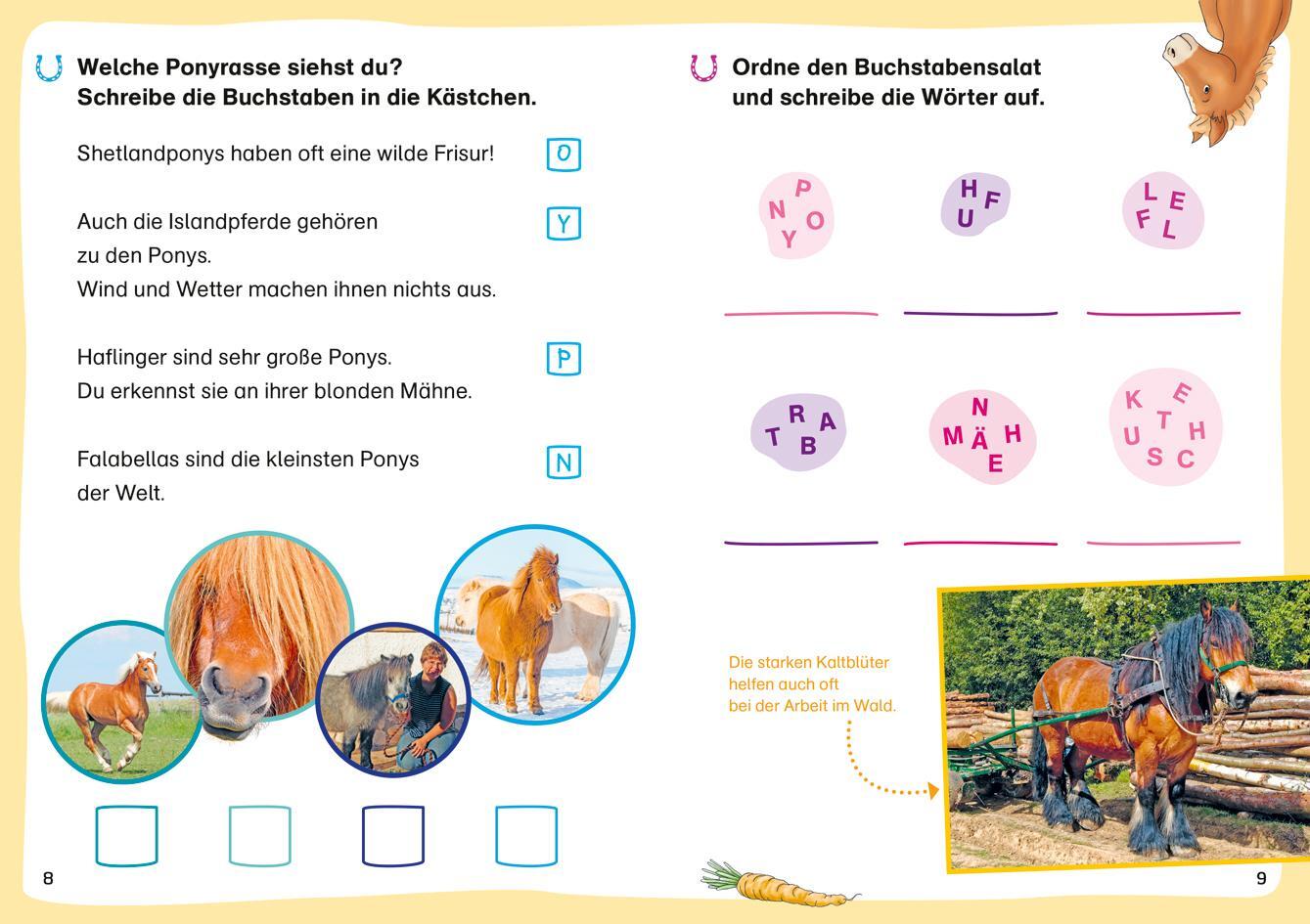 Bild: 9783788681432 | WAS IST WAS Erstes Lesen. Leserätsel Pferde und Ponys | Braun | 48 S.