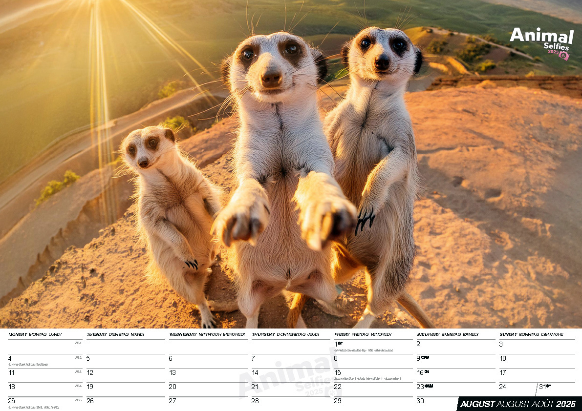 Bild: 9798893611151 | Animal Selfies 2025 | Der tierisch lustige Selfies Kalender | Kalender