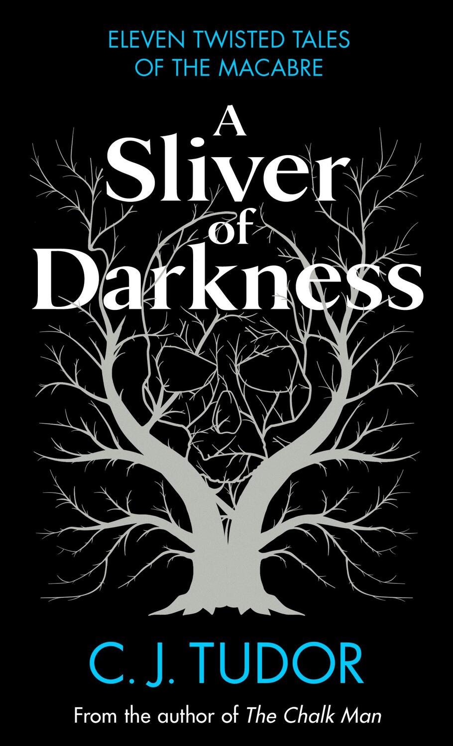 Cover: 9780241582640 | A Sliver of Darkness | C. J. Tudor | Taschenbuch | XII | Englisch