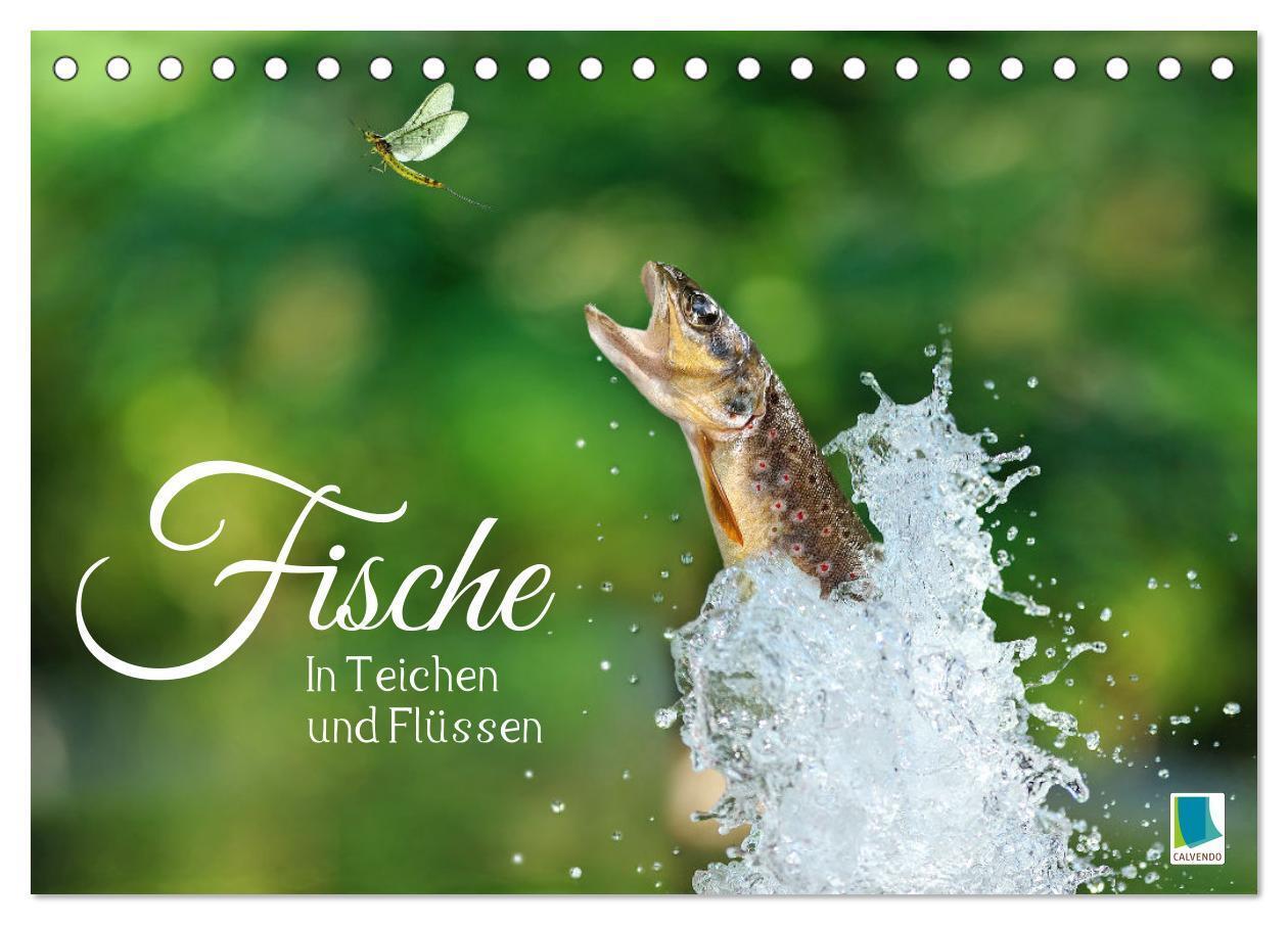 Cover: 9783383890444 | Fische in Teichen und Flüssen (Tischkalender 2025 DIN A5 quer),...