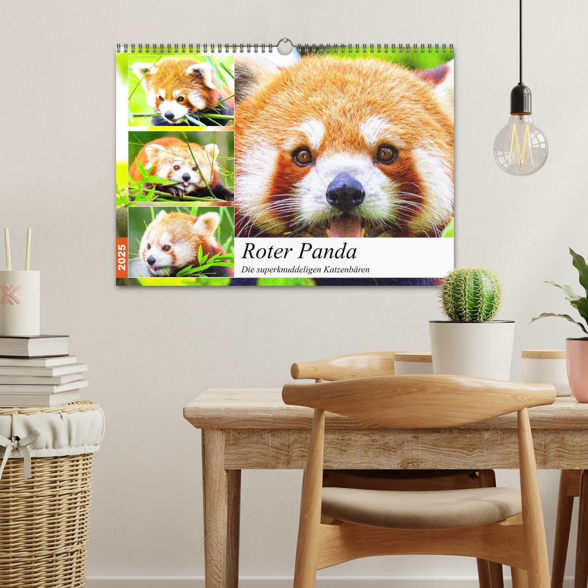 Bild: 9783435178353 | Roter Panda. Die superknuddeligen Katzenbären (Wandkalender 2025...