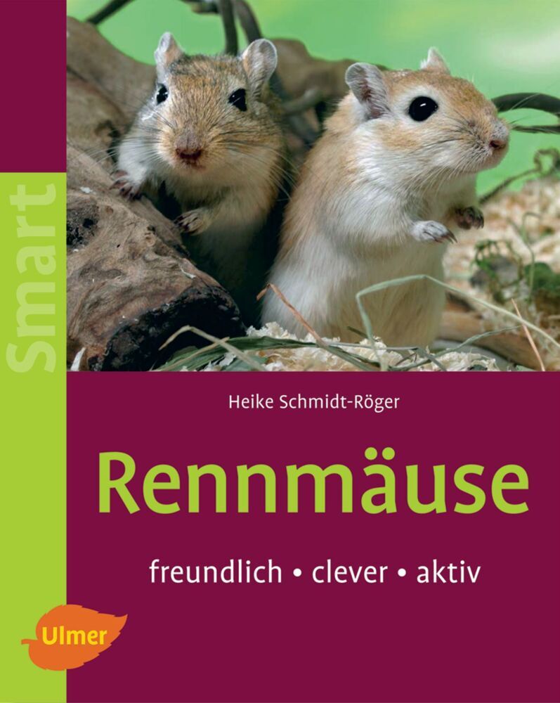 Cover: 9783800144884 | Rennmäuse | Freundlich - clever - aktiv | Heike Schmidt-Röger | Buch