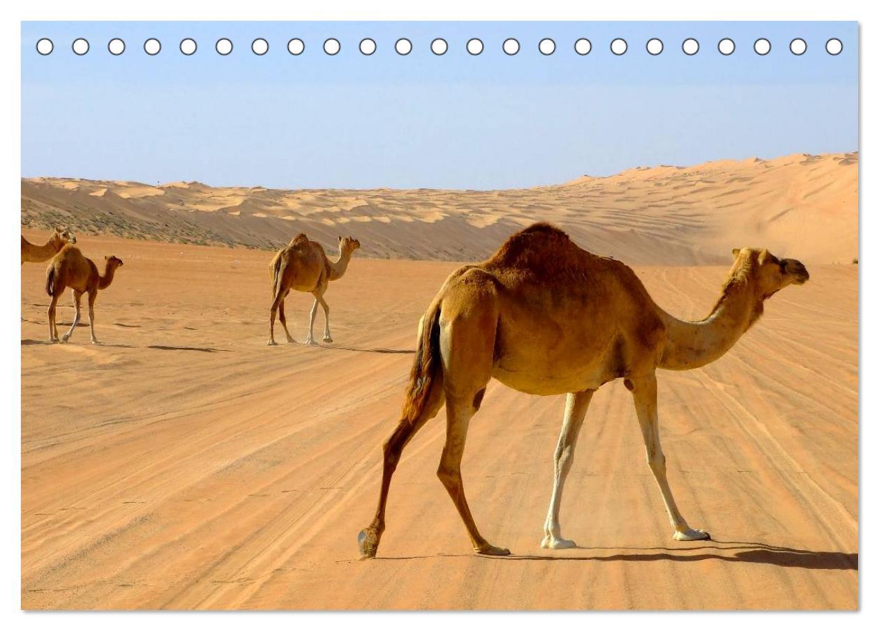 Bild: 9783435695201 | Oman - Eine Bilder-Reise (Tischkalender 2025 DIN A5 quer), CALVENDO...