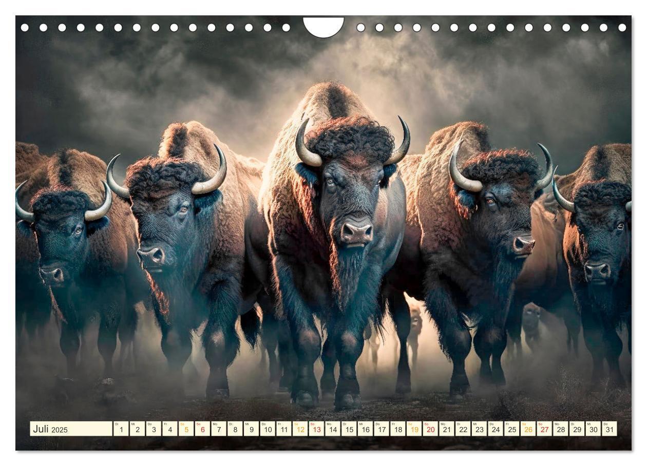 Bild: 9783383912092 | Amerikanischer Bison (Wandkalender 2025 DIN A4 quer), CALVENDO...