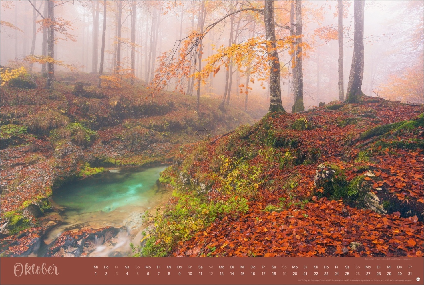 Bild: 9783756404759 | Zauberwälder Edition Kalender 2025 | Kalender | Spiralbindung | 15 S.