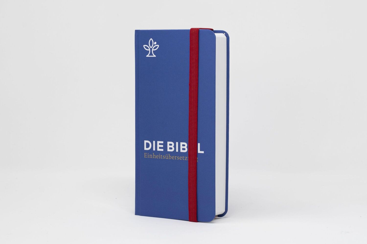 Bild: 9783460440463 | Die Bibel. Taschenausgabe stripe mit roter loser Gummilitze | Buch