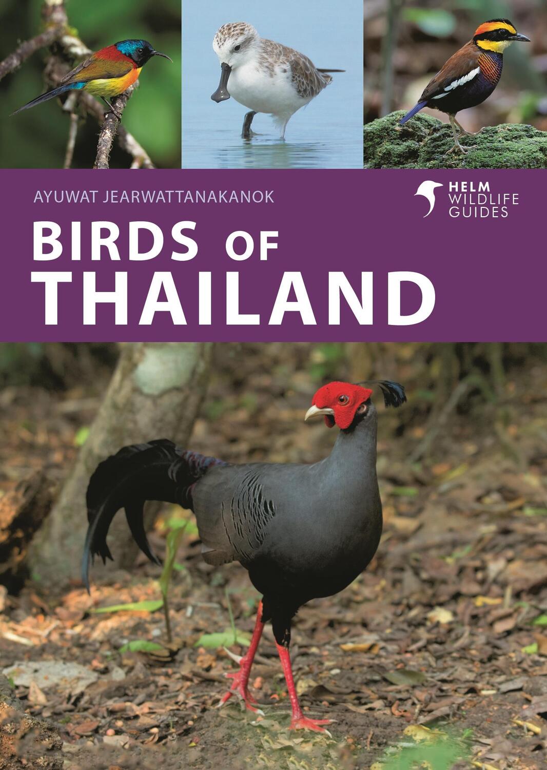 Cover: 9781399414715 | Birds of Thailand | Ayuwat Jearwattanakanok | Taschenbuch | Englisch