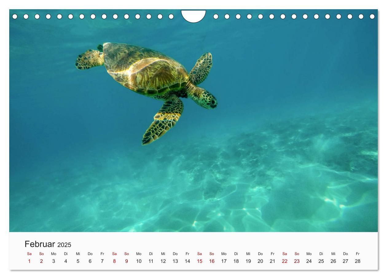 Bild: 9783435162390 | Hawaii - Sommer, Sonne, Urlaub (Wandkalender 2025 DIN A4 quer),...