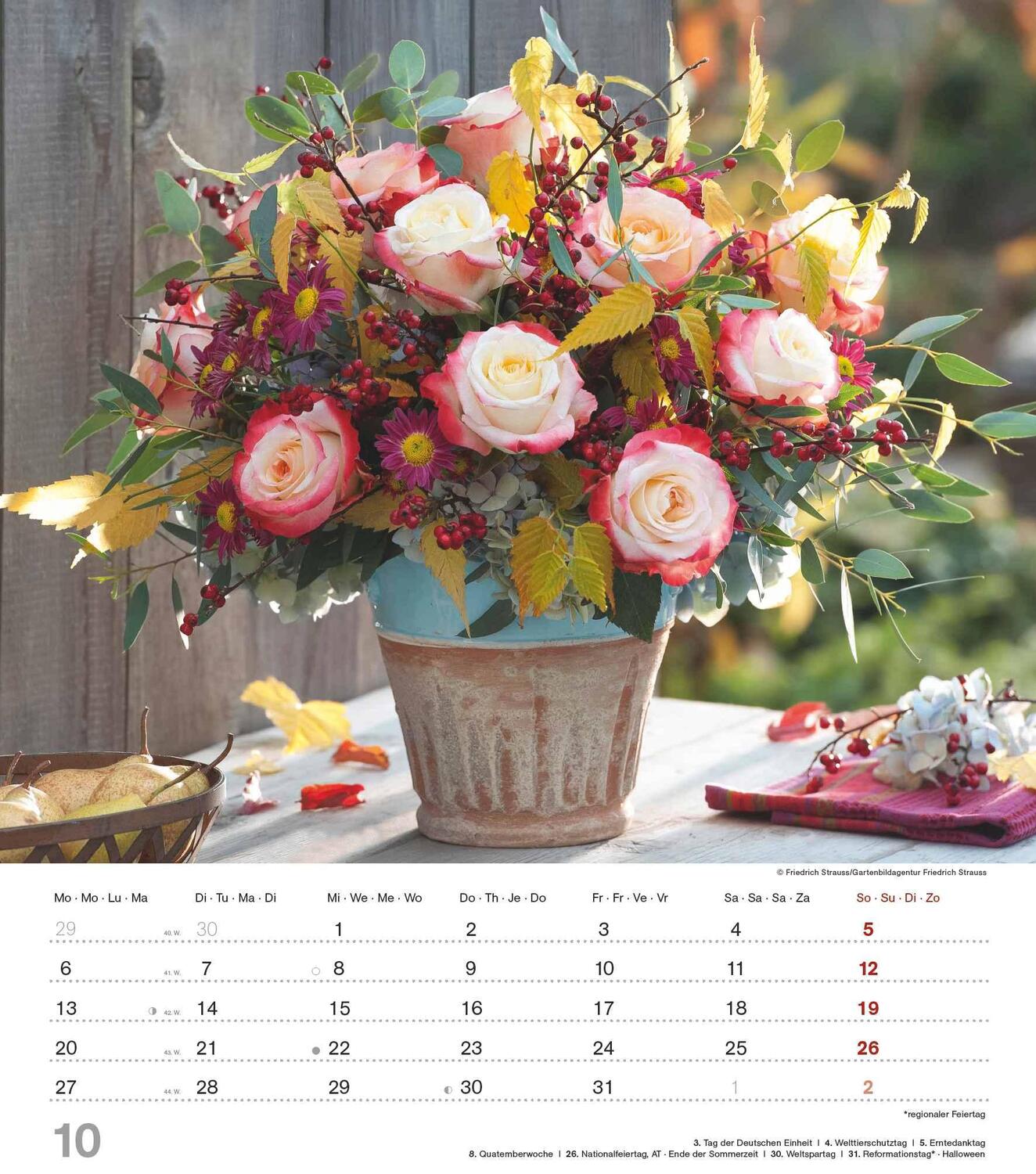 Bild: 4251732342135 | Der Duft der Rosen 2025 - Bildkalender 30x34 cm - Kalender mit wohl...