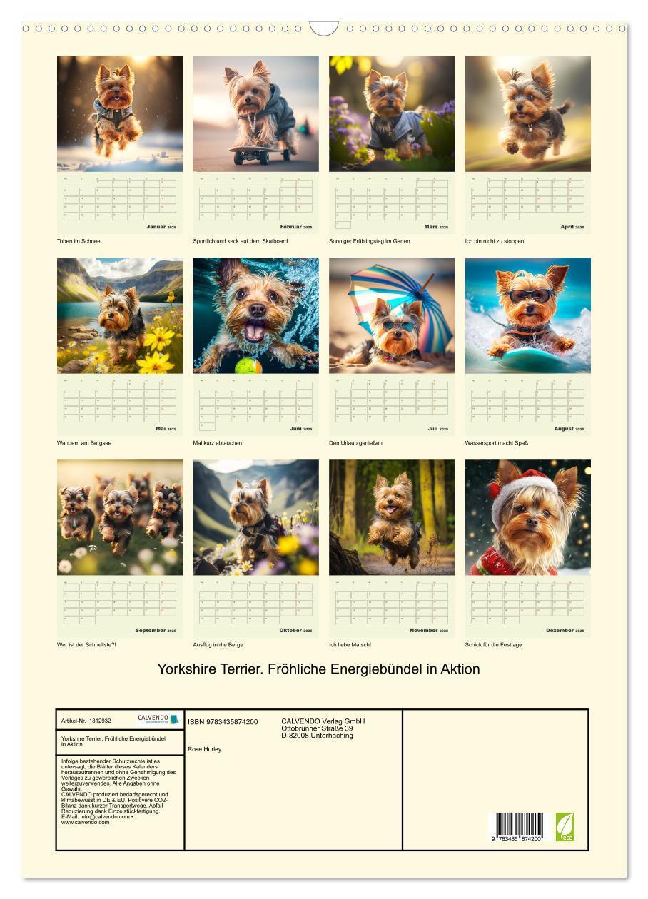 Bild: 9783435874200 | Yorkshire Terrier. Fröhliche Energiebündel in Aktion (Wandkalender...