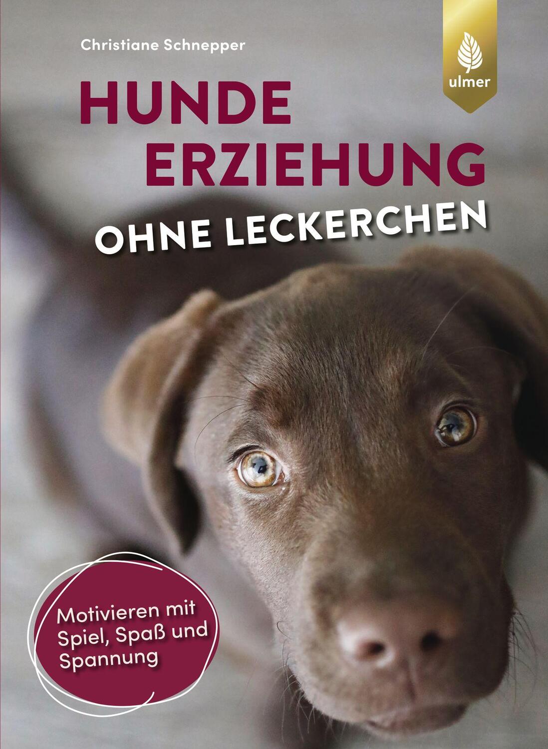 Cover: 9783818607333 | Hundeerziehung ohne Leckerchen | Christiane Schnepper | Taschenbuch