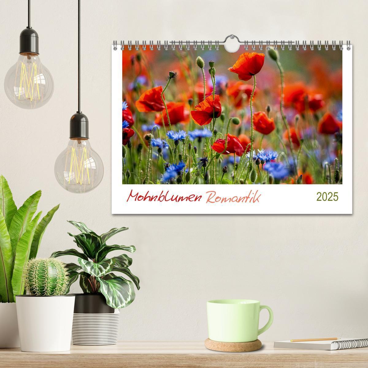 Bild: 9783435122967 | Mohnblumen Romantik (Wandkalender 2025 DIN A4 quer), CALVENDO...