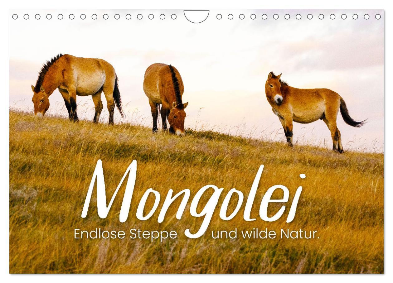 Cover: 9783435006977 | Mongolei - Endlose Steppe und wilde Natur. (Wandkalender 2025 DIN...