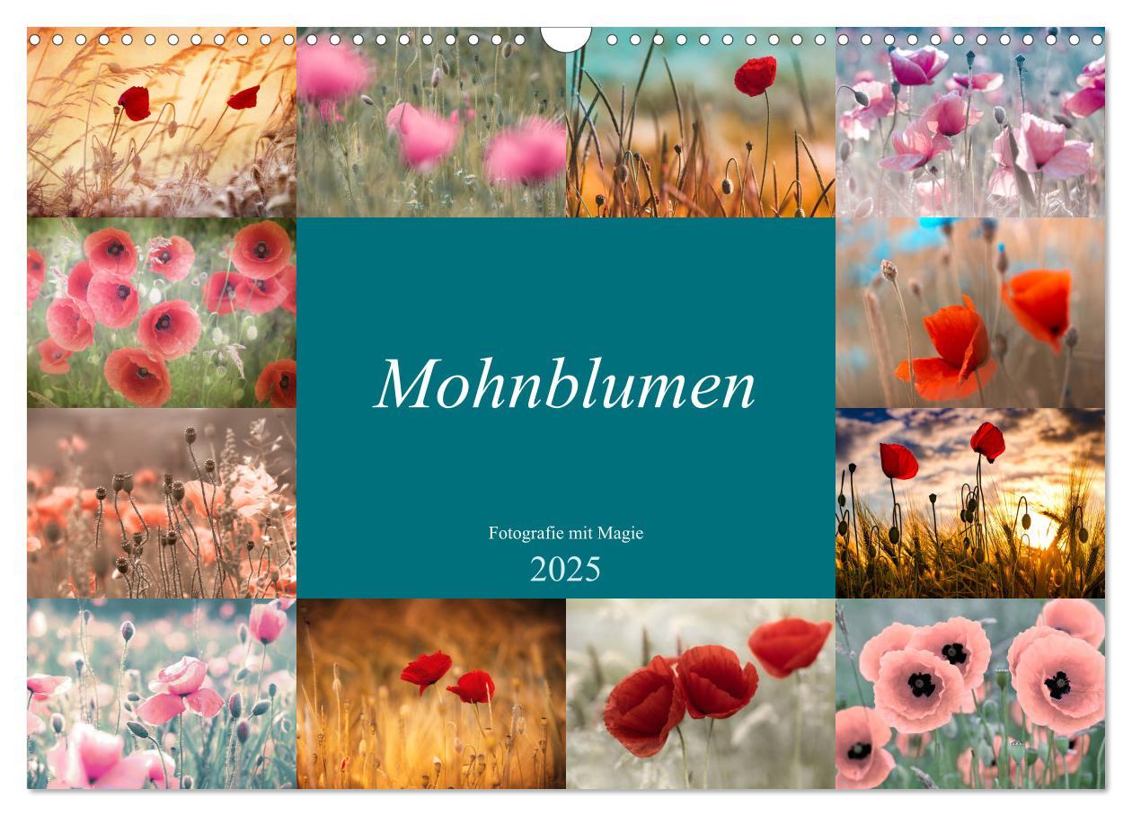 Cover: 9783435287857 | Mohnblumen - Fotografie mit Magie (Wandkalender 2025 DIN A3 quer),...