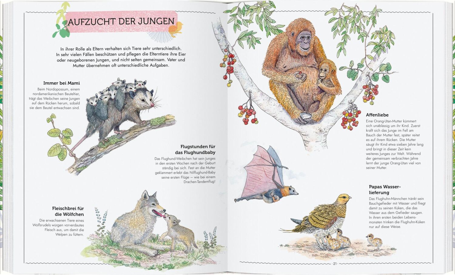 Bild: 9783836961448 | Mein großes Buch vom Leben der Tiere | Virginie Aladjidi | Buch | 2022