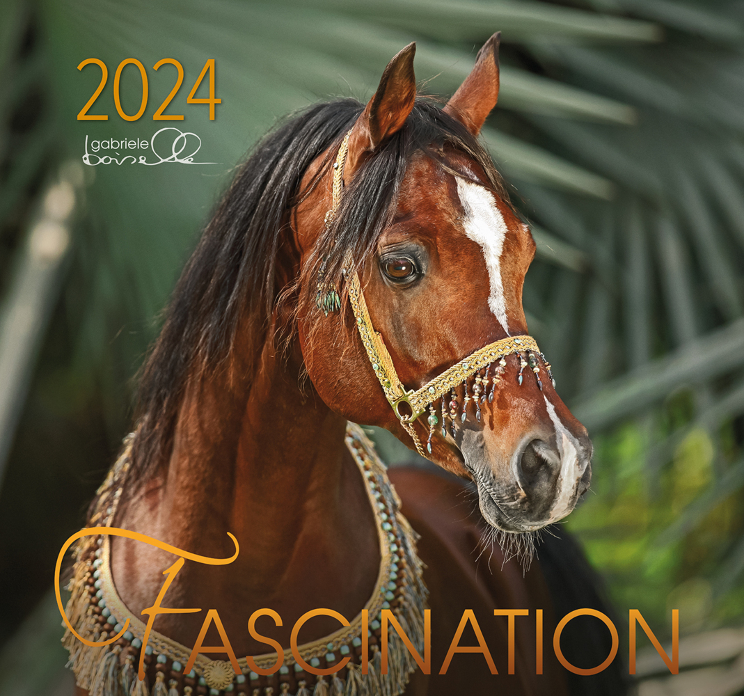 Cover: 9783964120625 | Fascination 2024, m. 1 Beilage | Arabische Pferde | Gabriele Boiselle