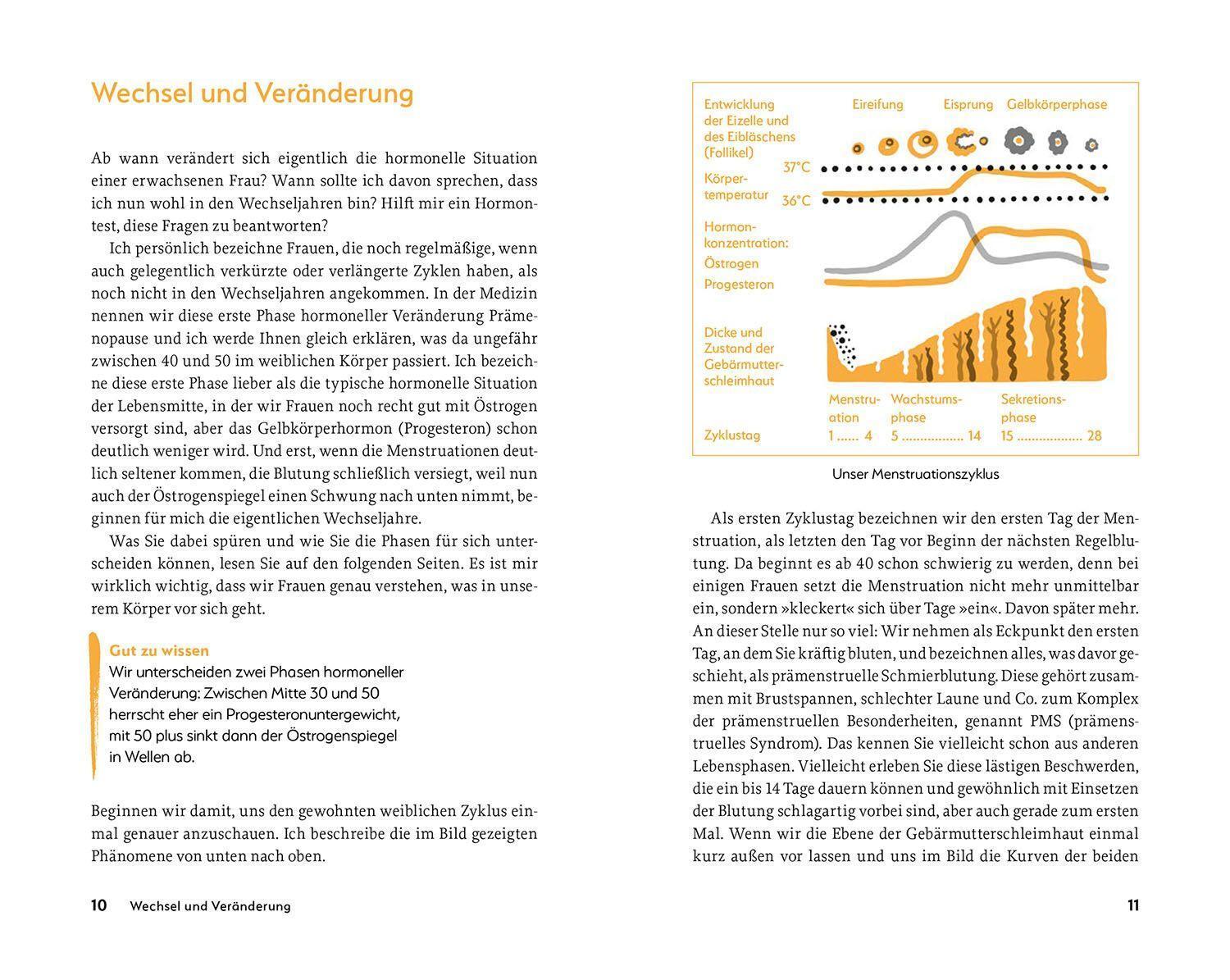 Bild: 9783968590431 | Mein Kompass durch die Wechseljahre | Heide Fischer | Taschenbuch