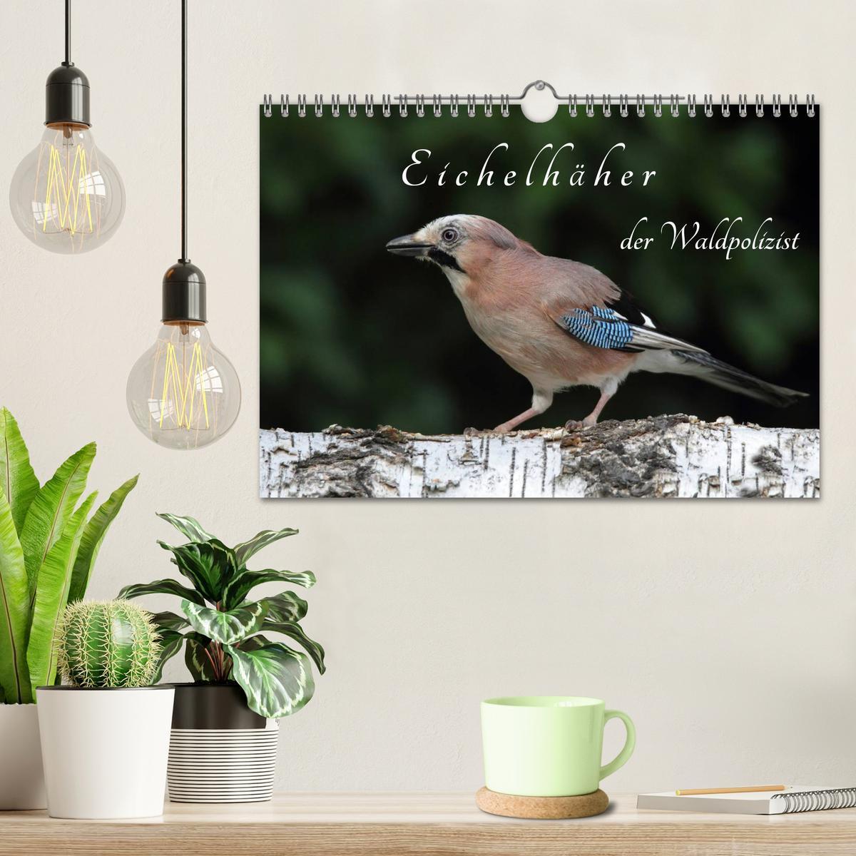 Bild: 9783435560264 | Eichelhäher der Waldpolizist (Wandkalender 2025 DIN A4 quer),...